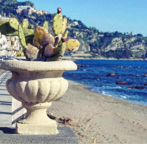 Le Conchiglie di Venere-Venus, Giardini Naxos